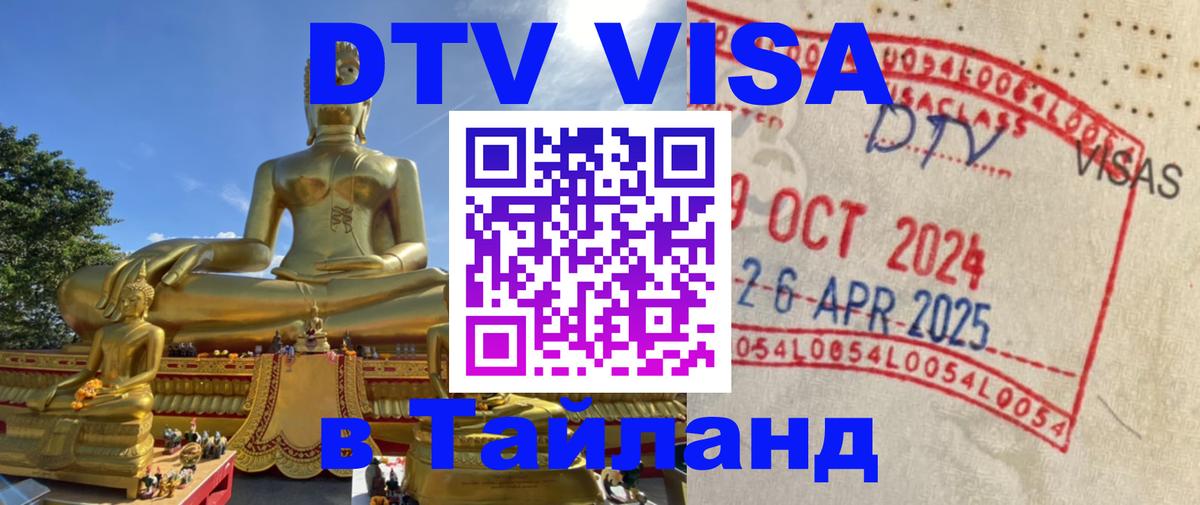 Сколько стоит DTV виза — актуальные цены, оформление даже без документов - Благовещенск  18.11.2025 